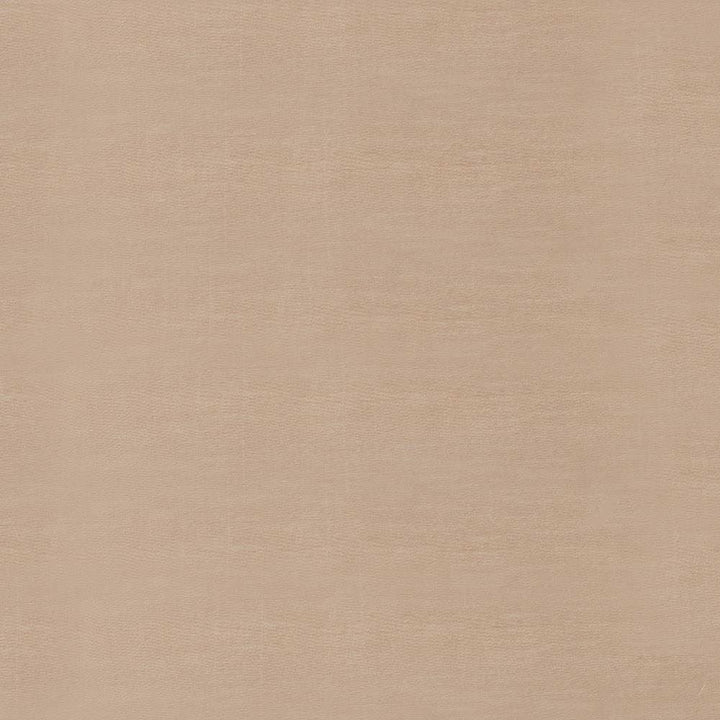 Timeless Burlap by Kasmir Fabric 5023 100% Polyester
 INDIA </p><p>Repeat: Horizontal: N/A and Vertical: N/A 54 - Fabric Carolina -