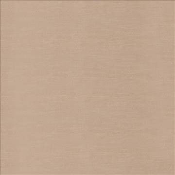 Timeless Burlap by Kasmir Fabric 5023 100% Polyester INDIA 15,000 Wyzenbeek Double Rubs H: N/A, V: N/A 54 - Fabric Carolina - Kasmir