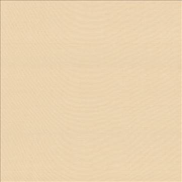 Timeless Cameo by Kasmir Fabric 5023 100% Polyester INDIA 15,000 Wyzenbeek Double Rubs H: N/A, V: N/A 54 - Fabric Carolina - Kasmir