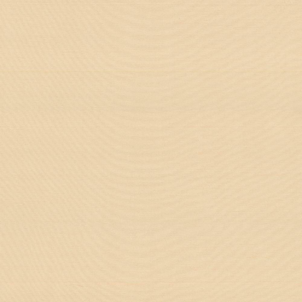 Timeless Cameo by Kasmir Fabric 5023 INDIA 15,000 Wyzenbeek Double Rubs H: N/A, V:N/A 54 - Fabric Carolina - Kasmir