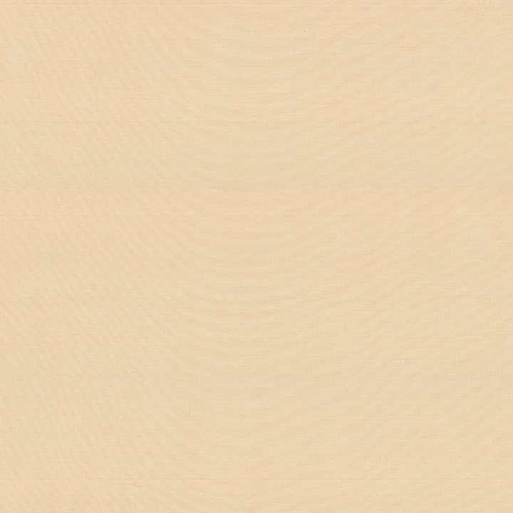 Timeless Cameo by Kasmir Fabric 5023 INDIA 15,000 Wyzenbeek Double Rubs H: N/A, V:N/A 54 - Fabric Carolina - Kasmir