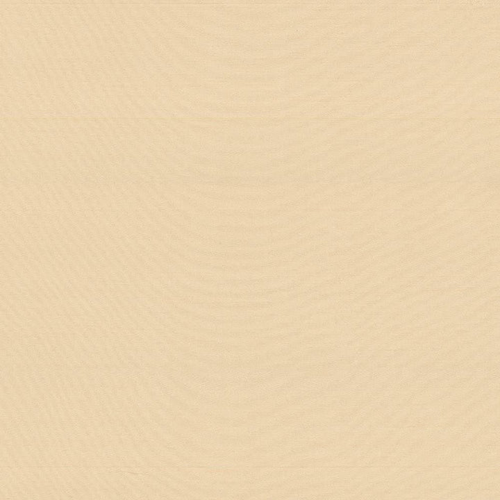 Timeless Cameo by Kasmir Fabric 5023 100% Polyester INDIA 15,000 Wyzenbeek Double Rubs Horizontal: 0 Inches and Vertical: 0 Inches 54 - Fabric Carolina -