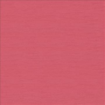 Timeless Conch by Kasmir Fabric 5023 100% Polyester INDIA 15,000 Wyzenbeek Double Rubs H: N/A, V: N/A 54 - Fabric Carolina - Kasmir