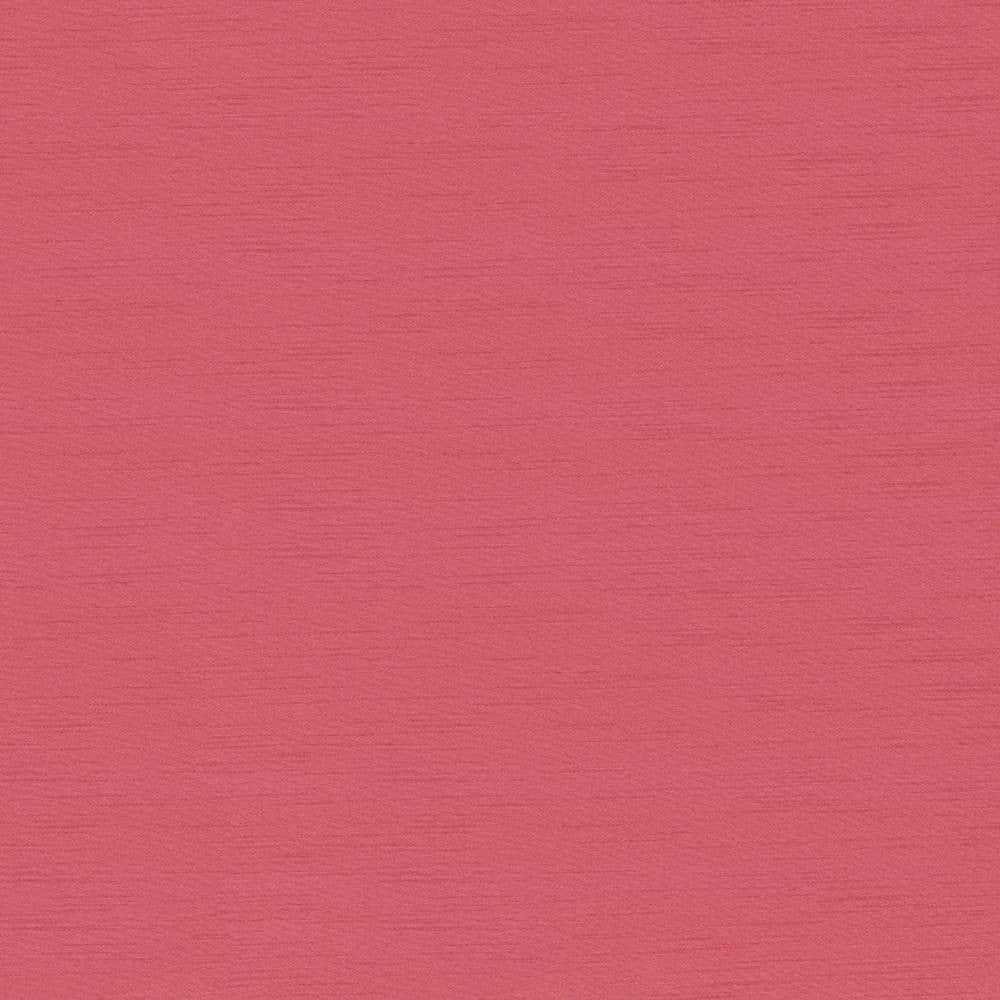 Timeless Conch by Kasmir Fabric 5023 INDIA 15,000 Wyzenbeek Double Rubs H: N/A, V:N/A 54 - Fabric Carolina - Kasmir