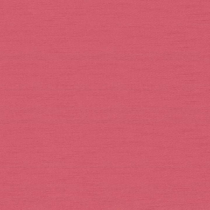 Timeless Conch by Kasmir Fabric 5023 INDIA 15,000 Wyzenbeek Double Rubs H: N/A, V:N/A 54 - Fabric Carolina - Kasmir