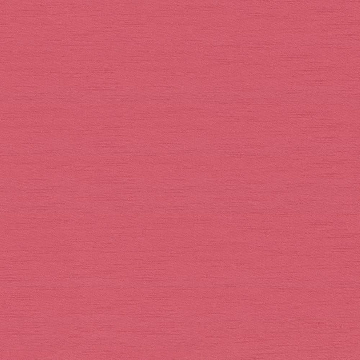 Timeless Conch by Kasmir Fabric 5023 100% Polyester
 INDIA 15,000 Wyzenbeek Double Rubs Horizontal: N/A and Vertical: N/A 54 - Fabric Carolina -