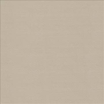 Timeless Couscous by Kasmir Fabric 5023 100% Polyester INDIA 15,000 Wyzenbeek Double Rubs H: N/A, V: N/A 54 - Fabric Carolina - Kasmir