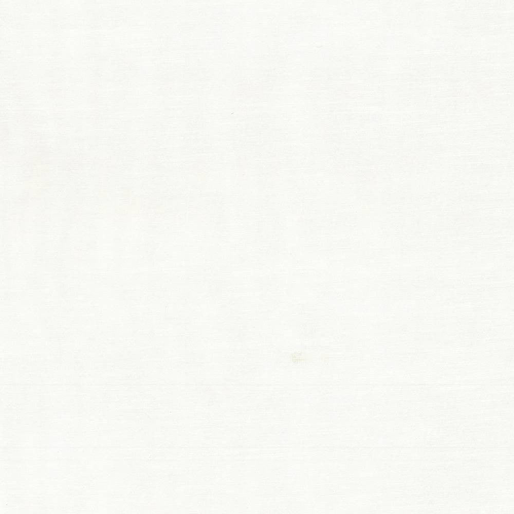 Timeless Eggshell by Kasmir Fabric 5023 INDIA 15,000 Wyzenbeek Double Rubs H: N/A, V:N/A 54 - Fabric Carolina - Kasmir