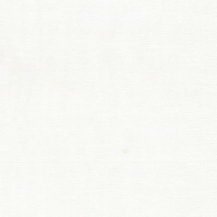 Timeless Eggshell by Kasmir Fabric 5023 INDIA 15,000 Wyzenbeek Double Rubs H: N/A, V:N/A 54 - Fabric Carolina - Kasmir