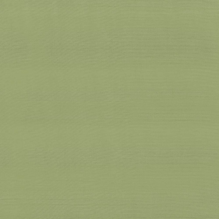 Timeless Endive by Kasmir Fabric 5023 100% Polyester
 INDIA 15,000 Wyzenbeek Double Rubs </p><p>Repeat: Horizontal: N/A and Vertical: N/A 54 - Fabric Carolina -