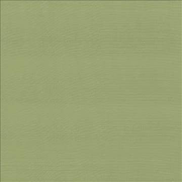 Timeless Endive by Kasmir Fabric 5023 100% Polyester INDIA 15,000 Wyzenbeek Double Rubs H: N/A, V: N/A 54 - Fabric Carolina - Kasmir