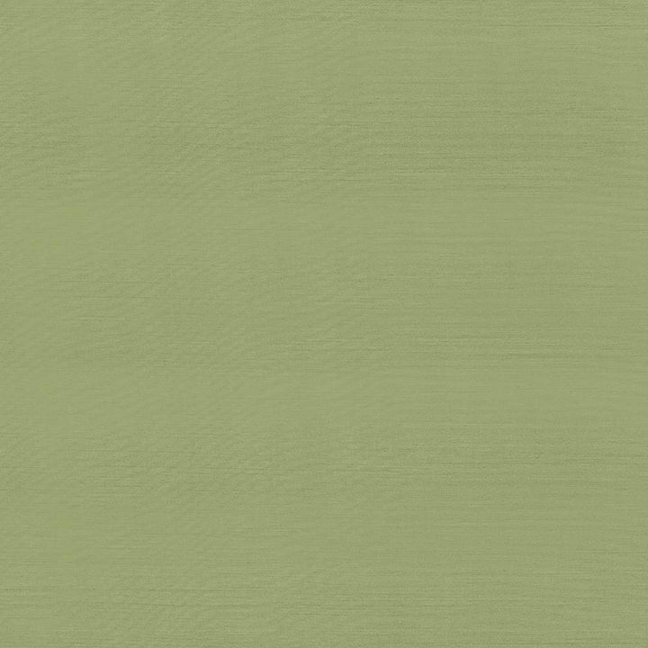 Timeless Endive by Kasmir Fabric 5023 INDIA 15,000 Wyzenbeek Double Rubs H: N/A, V:N/A 54 - Fabric Carolina - Kasmir