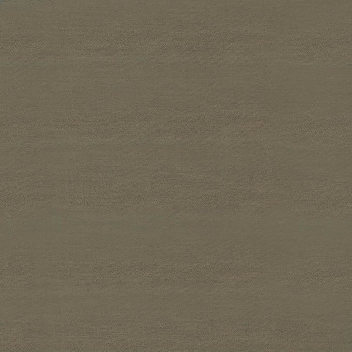 Timeless Fawn  by Kasmir Fabric See sample 100% Polyester
 INDIA 15,000 Wyzenbeek Double Rubs </p><p>Repeat: Horizontal: N/A and Vertical: N/A 54  - Fabric Carolina -