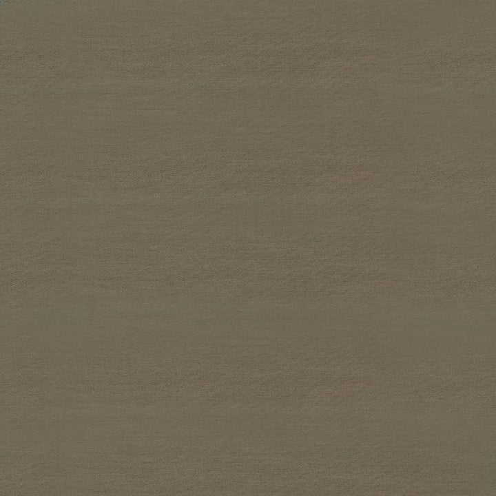 Timeless Fawn by Kasmir Fabric 5023 INDIA 15,000 Wyzenbeek Double Rubs H: N/A, V:N/A 54 - Fabric Carolina - Kasmir