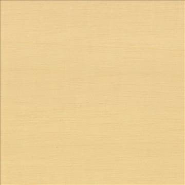 Timeless Honeycomb by Kasmir Fabric 5023 100% Polyester INDIA 15,000 Wyzenbeek Double Rubs H: N/A, V: N/A 54 - Fabric Carolina - Kasmir