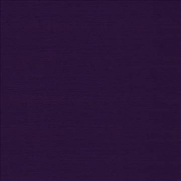 Timeless Iris by Kasmir Fabric 5023 100% Polyester INDIA 15,000 Wyzenbeek Double Rubs H: N/A, V: N/A 54 - Fabric Carolina - Kasmir