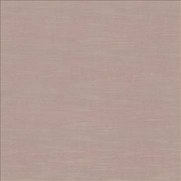 Timeless Latte by Kasmir Fabric 5023 100% Polyester INDIA 15,000 Wyzenbeek Double Rubs H: N/A, V: N/A 54 - Fabric Carolina - Kasmir