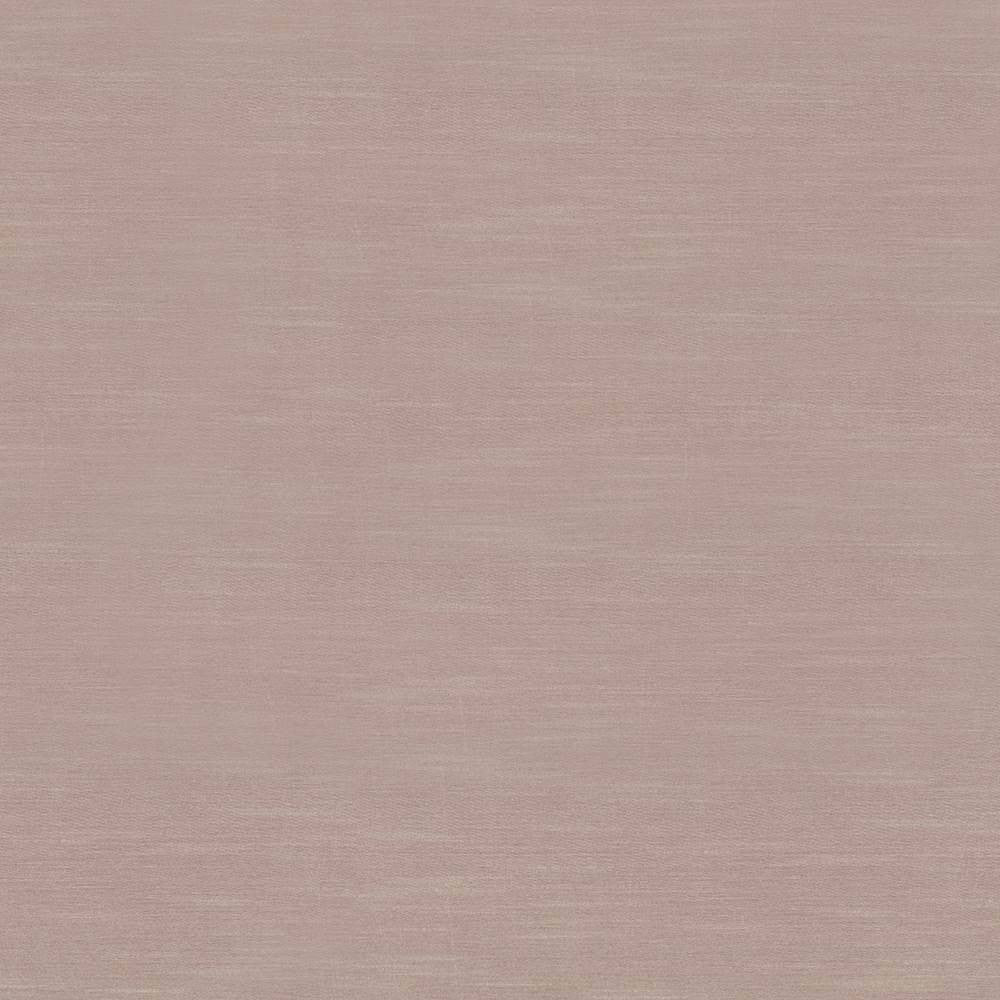 Timeless Latte by Kasmir Fabric 5023 INDIA 15,000 Wyzenbeek Double Rubs H: N/A, V:N/A 54 - Fabric Carolina - Kasmir