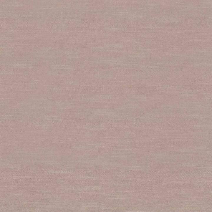 Timeless Latte by Kasmir Fabric 5023 INDIA 15,000 Wyzenbeek Double Rubs H: N/A, V:N/A 54 - Fabric Carolina - Kasmir