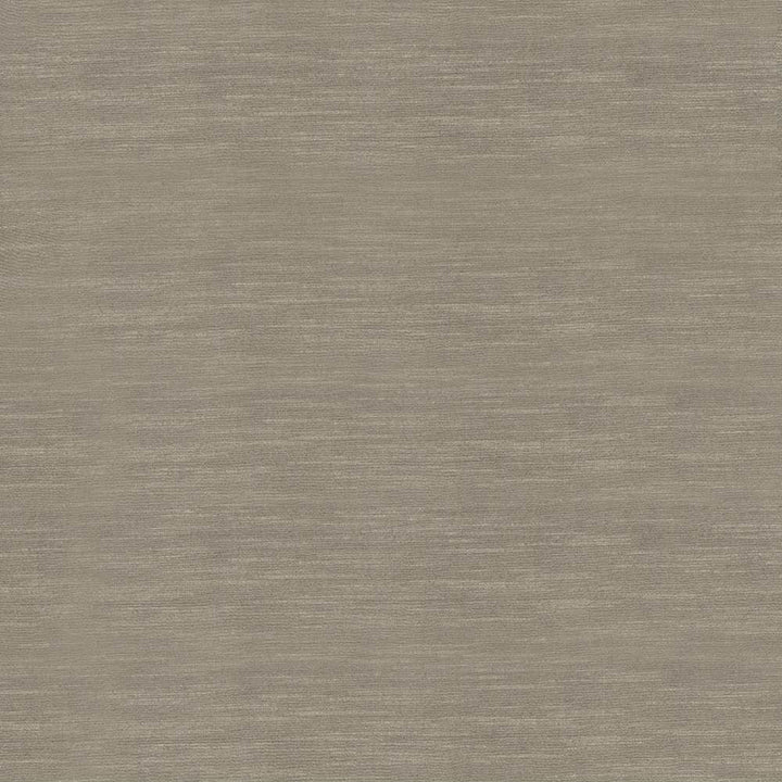 Timeless Malt by Kasmir Fabric 5023 100% Polyester
 INDIA 15,000 Wyzenbeek Double Rubs </p><p>Repeat: Horizontal: N/A and Vertical: N/A 54 - Fabric Carolina -