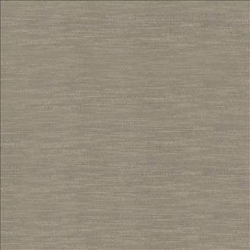 Timeless Malt by Kasmir Fabric 5023 100% Polyester INDIA 15,000 Wyzenbeek Double Rubs H: N/A, V: N/A 54 - Fabric Carolina - Kasmir