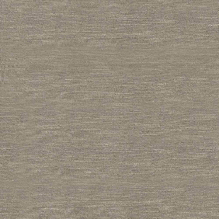 Timeless Malt by Kasmir Fabric 5023 INDIA 15,000 Wyzenbeek Double Rubs H: N/A, V:N/A 54 - Fabric Carolina - Kasmir