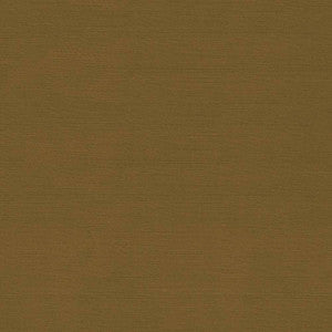 Timeless Midas by Kasmir Fabric