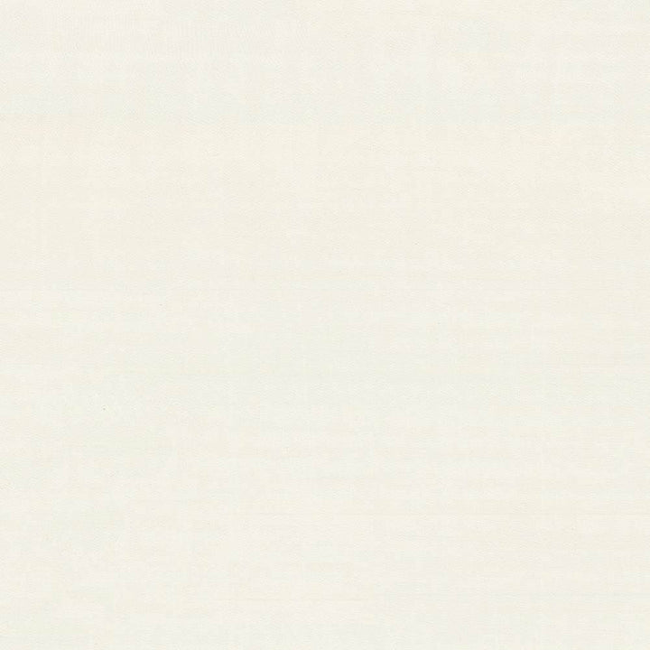 Timeless Off White by Kasmir Fabric 5023 100% Polyester
 INDIA 15,000 Wyzenbeek Double Rubs </p><p>Repeat: Horizontal: N/A and Vertical: N/A 54 - Fabric Carolina -