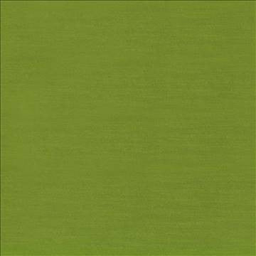 Timeless Peapod by Kasmir Fabric 5023 100% Polyester INDIA 15,000 Wyzenbeek Double Rubs H: N/A, V: N/A 54 - Fabric Carolina - Kasmir