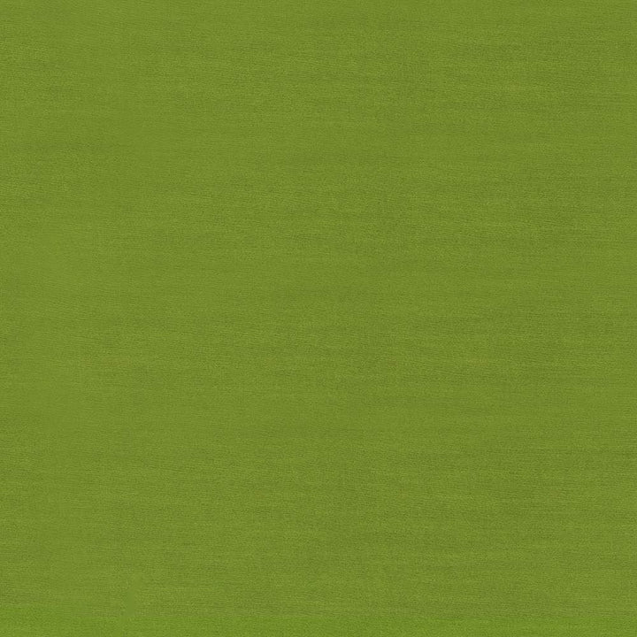 Timeless Peapod by Kasmir Fabric 5023 100% Polyester
 INDIA </p><p>Repeat: Horizontal: N/A and Vertical: N/A 54 - Fabric Carolina -