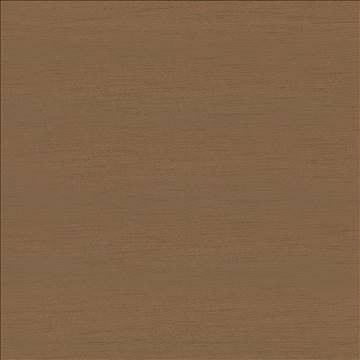 Timeless Pecan by Kasmir Fabric 5023 100% Polyester INDIA 15,000 Wyzenbeek Double Rubs H: N/A, V: N/A 54 - Fabric Carolina - Kasmir