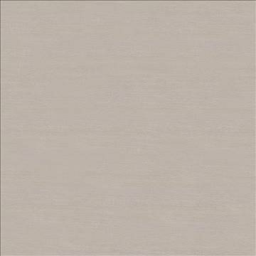 Timeless Platinum by Kasmir Fabric 5023 100% Polyester INDIA 15,000 Wyzenbeek Double Rubs H: N/A, V: N/A 54 - Fabric Carolina - Kasmir
