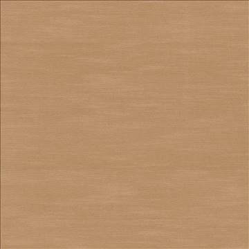 Timeless Sandstone by Kasmir Fabric 5023 100% Polyester INDIA 15,000 Wyzenbeek Double Rubs H: N/A, V: N/A 54 - Fabric Carolina - Kasmir
