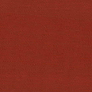 Timeless Terracotta by Kasmir Fabric