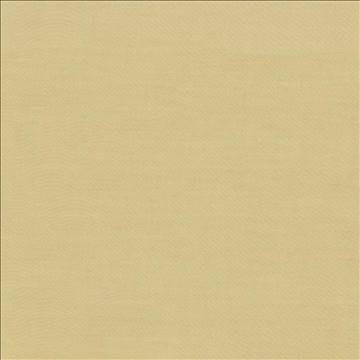 Timeless Travertine by Kasmir Fabric 5023 100% Polyester INDIA 15,000 Wyzenbeek Double Rubs H: N/A, V: N/A 54 - Fabric Carolina - Kasmir