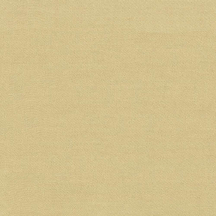 Timeless Travertine by Kasmir Fabric 5023 100% Polyester
 INDIA 15,000 Wyzenbeek Double Rubs Horizontal: N/A and Vertical: N/A 54 - Fabric Carolina -