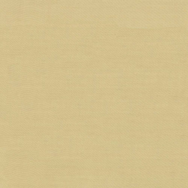 Timeless Travertine by Kasmir Fabric 5023 INDIA 15,000 Wyzenbeek Double Rubs H: N/A, V:N/A 54 - Fabric Carolina - Kasmir