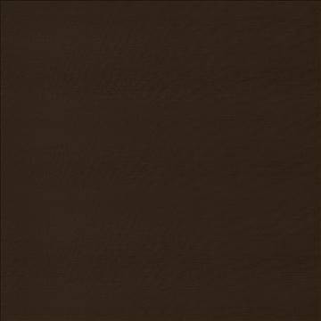 Timeless Truffle by Kasmir Fabric 5023 100% Polyester INDIA 15,000 Wyzenbeek Double Rubs H: N/A, V: N/A 54 - Fabric Carolina - Kasmir