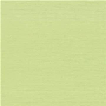 Timeless Wasabi by Kasmir Fabric 5023 100% Polyester INDIA 15,000 Wyzenbeek Double Rubs H: N/A, V: N/A 54 - Fabric Carolina - Kasmir
