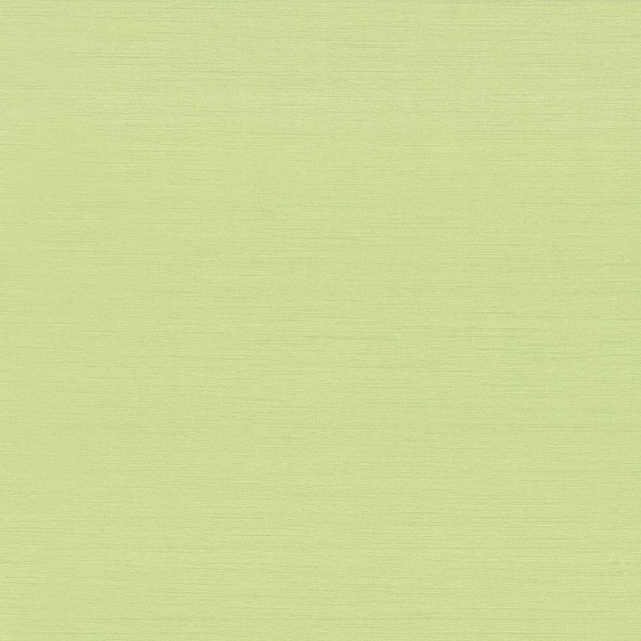 Timeless Wasabi by Kasmir Fabric 5023 INDIA 15,000 Wyzenbeek Double Rubs H: N/A, V:N/A 54 - Fabric Carolina - Kasmir