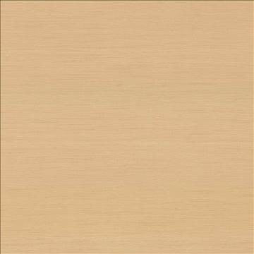 Timeless Whisper by Kasmir Fabric 5023 100% Polyester INDIA 15,000 Wyzenbeek Double Rubs H: N/A, V: N/A 54 - Fabric Carolina - Kasmir