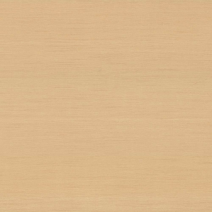 Timeless Whisper by Kasmir Fabric 5023 100% Polyester
 INDIA </p><p>Repeat: Horizontal: N/A and Vertical: N/A 54 - Fabric Carolina -