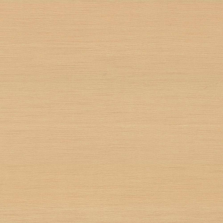 Timeless Whisper by Kasmir Fabric 5023 INDIA 15,000 Wyzenbeek Double Rubs H: N/A, V:N/A 54 - Fabric Carolina - Kasmir