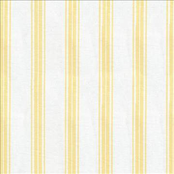 Tipler Stripe Buttercup by Kasmir Fabric 1384 100% Cotton TURKEY Not Tested H: 1 6/8 inches, V: N/A 54 - Fabric Carolina - Kasmir