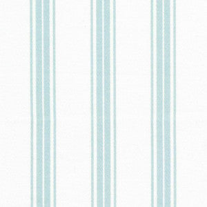 Tipler Stripe Robins Egg by Kasmir Fabric