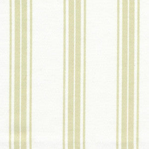 Tipler Stripe Sage by Kasmir Fabric