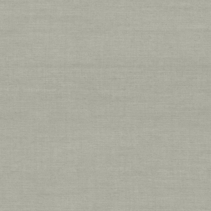 Tipperary Slate by Kasmir Fabric 5035 INDIA Not Tested H: N/A, V:N/A 54 - 55 - Fabric Carolina - Kasmir