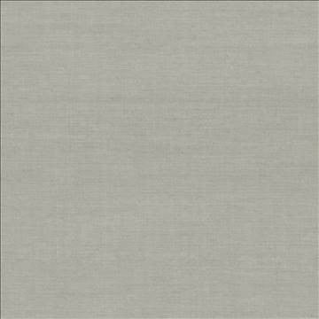 Tipperary Slate by Kasmir Fabric 5035 77% Linen 23% Cotton INDIA Not Tested H: N/A, V: N/A 54 - 55 - Fabric Carolina - Kasmir