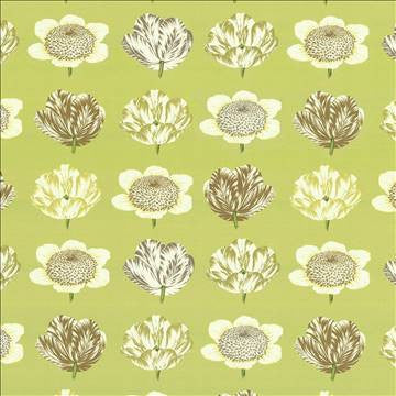 Tiptoe Through Green Tea by Kasmir Fabric 1420 100% Cotton PERU 42,000 Wyzenbeek Double Rubs H: 27 inches, V: 25 2/8 inches 54 - 55 - Fabric Carolina - Kasmir