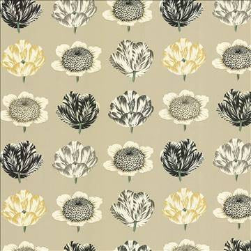 Tiptoe Through Pebble by Kasmir Fabric 1416 100% Cotton PERU 42,000 Wyzenbeek Double Rubs H: 27 inches, V: 25 2/8 inches 54 - 55 - Fabric Carolina - Kasmir